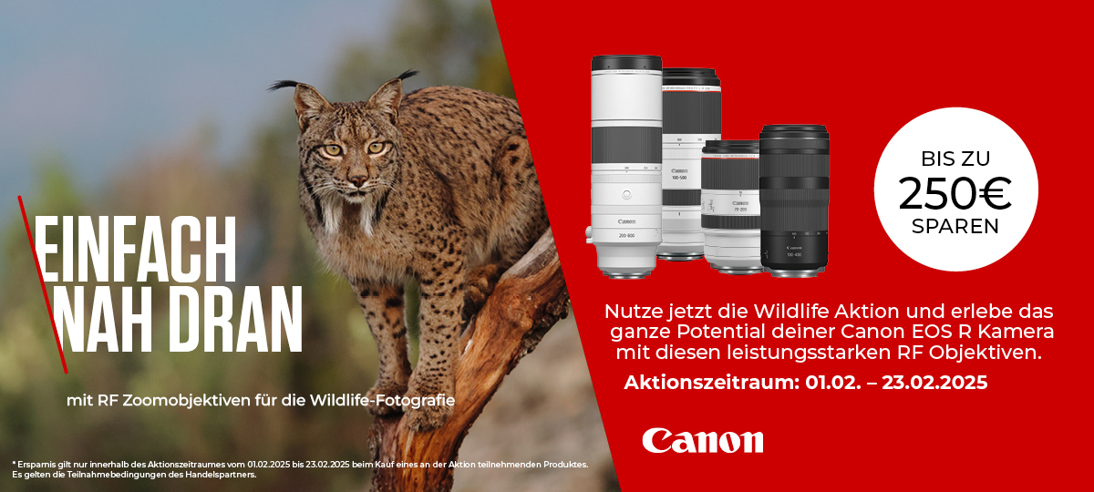 CANON WILDLIFE-DEALS